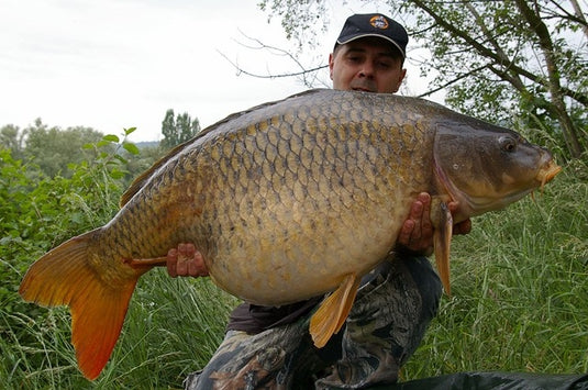 Ib Carptrack Monster/Liver Boilie