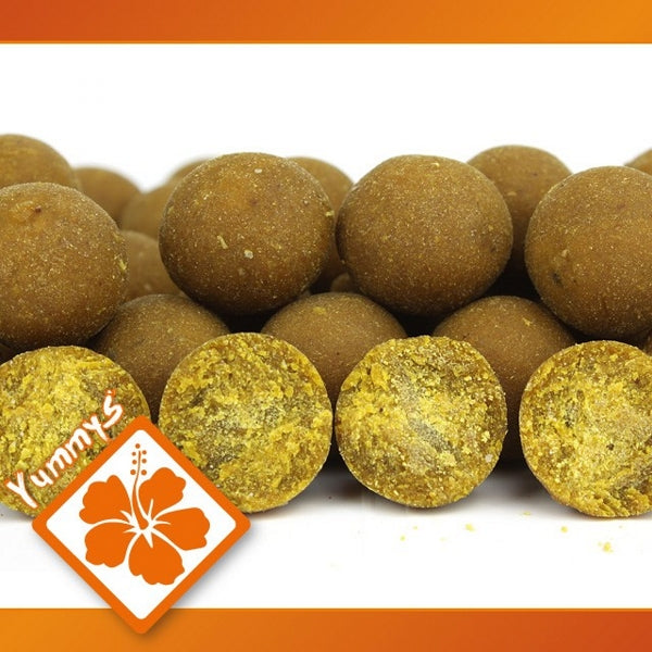 Ib Carptrack Osmotic Oriental Spice Boilie