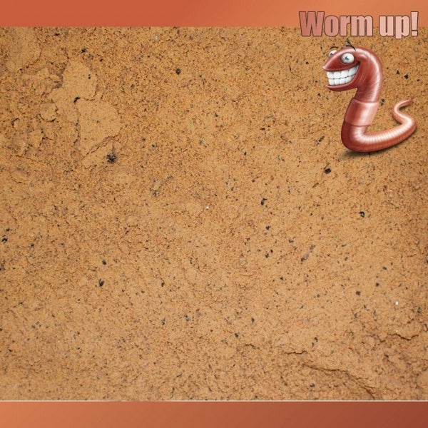 IB Carptrack Worm Up Mix