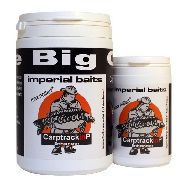 Ib Carptrack Inp