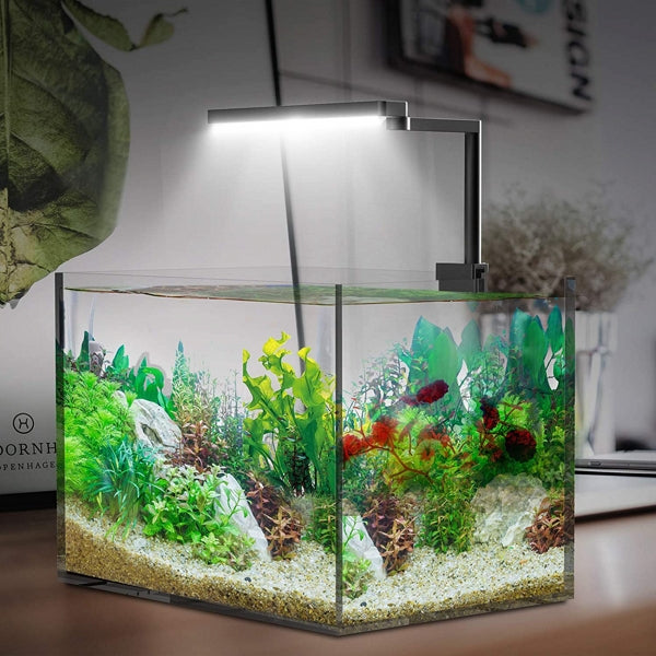Chihiros CII RGB 20W