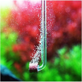 Chihiros Co2 diffuser Tiny