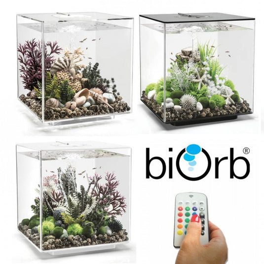 biOrb Cube 30 MCR Clear
