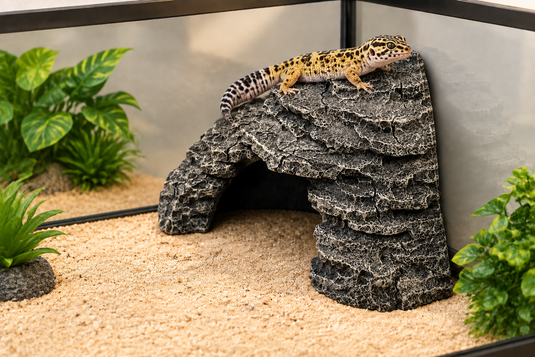 Deco ad angolo con geco leopardino e piante artificiali
