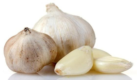 Aquarium Munster BioFish Food Dr Bassleer GARLIC