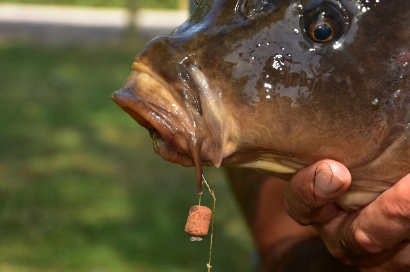 Carica immagine in Galleria Viewer, Dynamite Baits Source Wafter Dumbell 15mm
