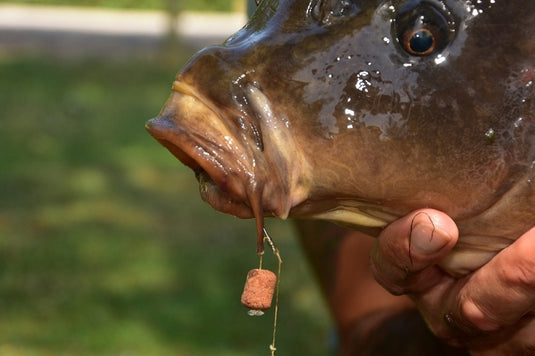 Dynamite Baits Source Wafter Dumbell 15mm