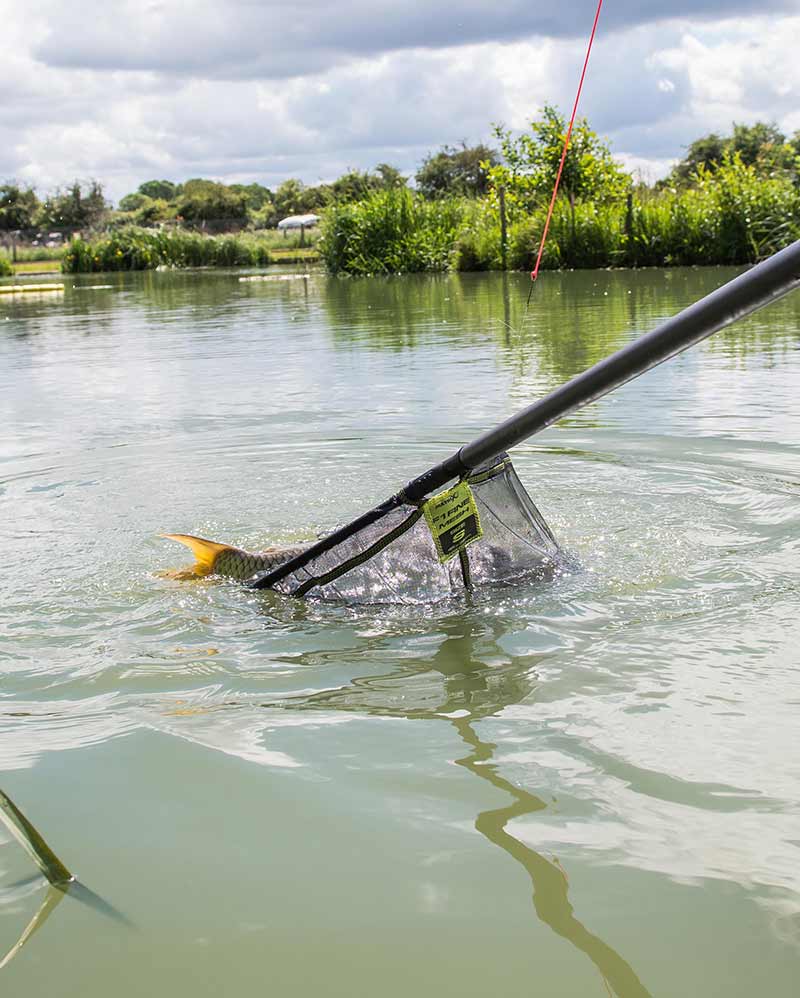 Laden Sie das Bild in Galerie -Viewer, Matrix Fine Mesh Landing Net - Testa per Guadino a Maglia Fine
