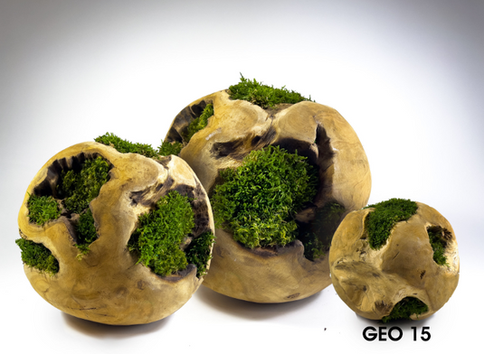 Terra Viva Design Palla in tek con muschio stabilizzato Ø15 cm