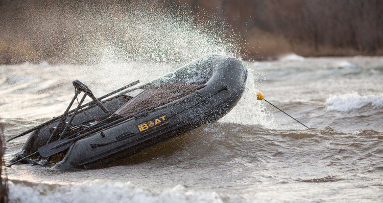 Carpfishing e Acquariologia: la nostra passione, dal lago al tuo salotto