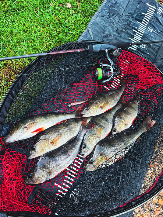 Fox Rage Mini Tiddler Mixed Colour Packs