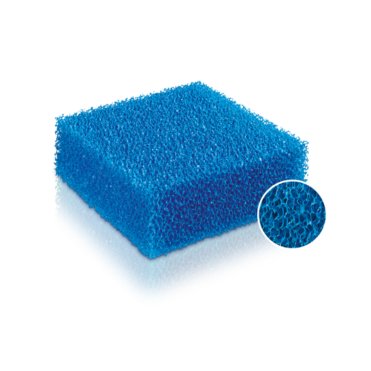 JUWEL BIOPLUS COARSE Spugna Filtrante Grossa