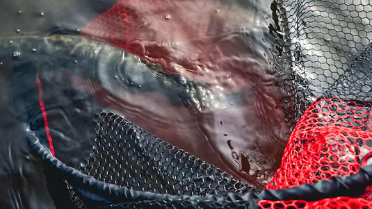 Fox Rage Speedflow Landing Nets