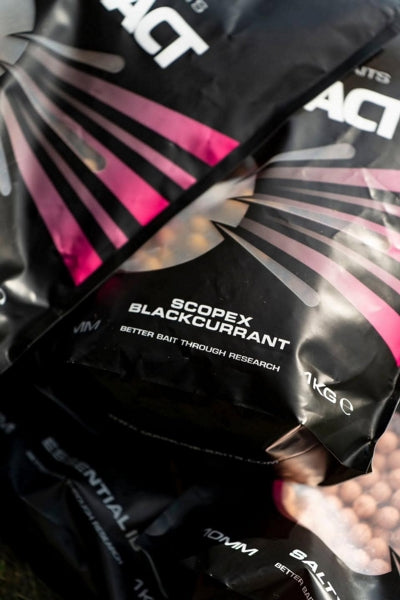 Mainline Hi Impact Boilies Scopex Blackcurrant