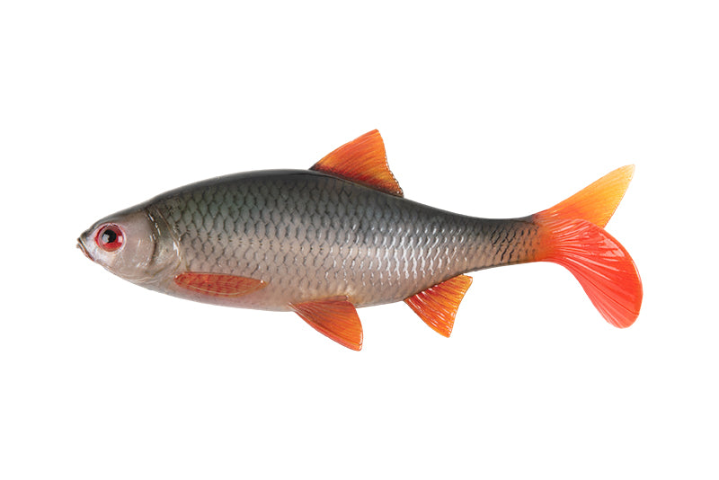 Laden Sie das Bild in Galerie -Viewer, Fox Rage Ultra Realistic Replicant Roach 14cm
