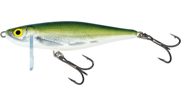 Carica immagine in Galleria Viewer, Salmo Thrill Sinking 5cm
