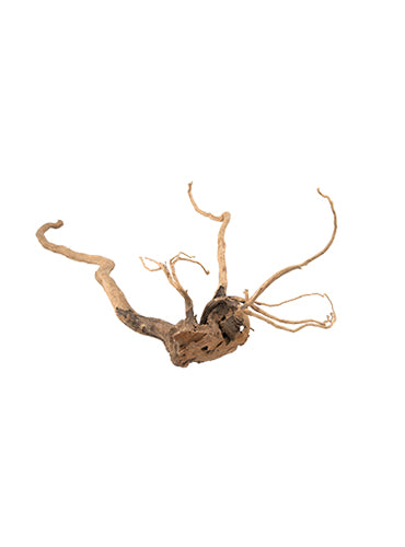 Load image into Gallery viewer, PURE Ornaments NATURAL WOOD
