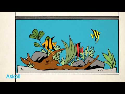 Laden und spielen Sie Video in Galerie -Viewer, Askoll ROBOFORMULA - Dosatore Elettronico Programmabile
