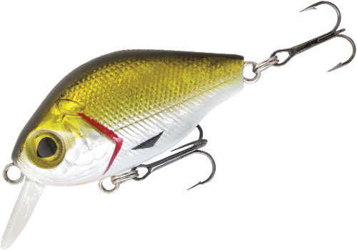 Rapture Pro Bb Crank 05