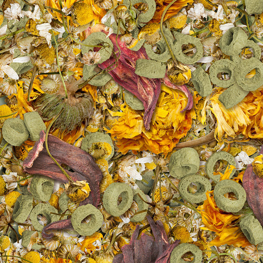 Sera Flowers'n'Loops Nature - Snack Naturale per Tartarughe Terrestri e Rettili Erbivori