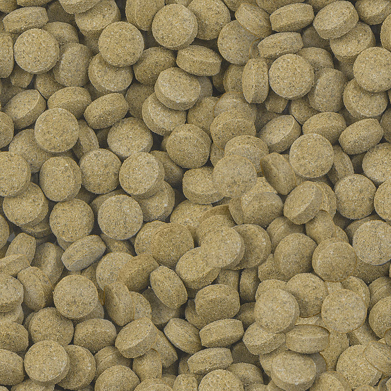 Carica immagine in Galleria Viewer, sera Viformo Pleco Tabs

