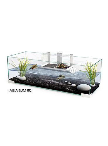 ASKOLL TARTARIUM 40 | 60 | 80 - Turtle Kit